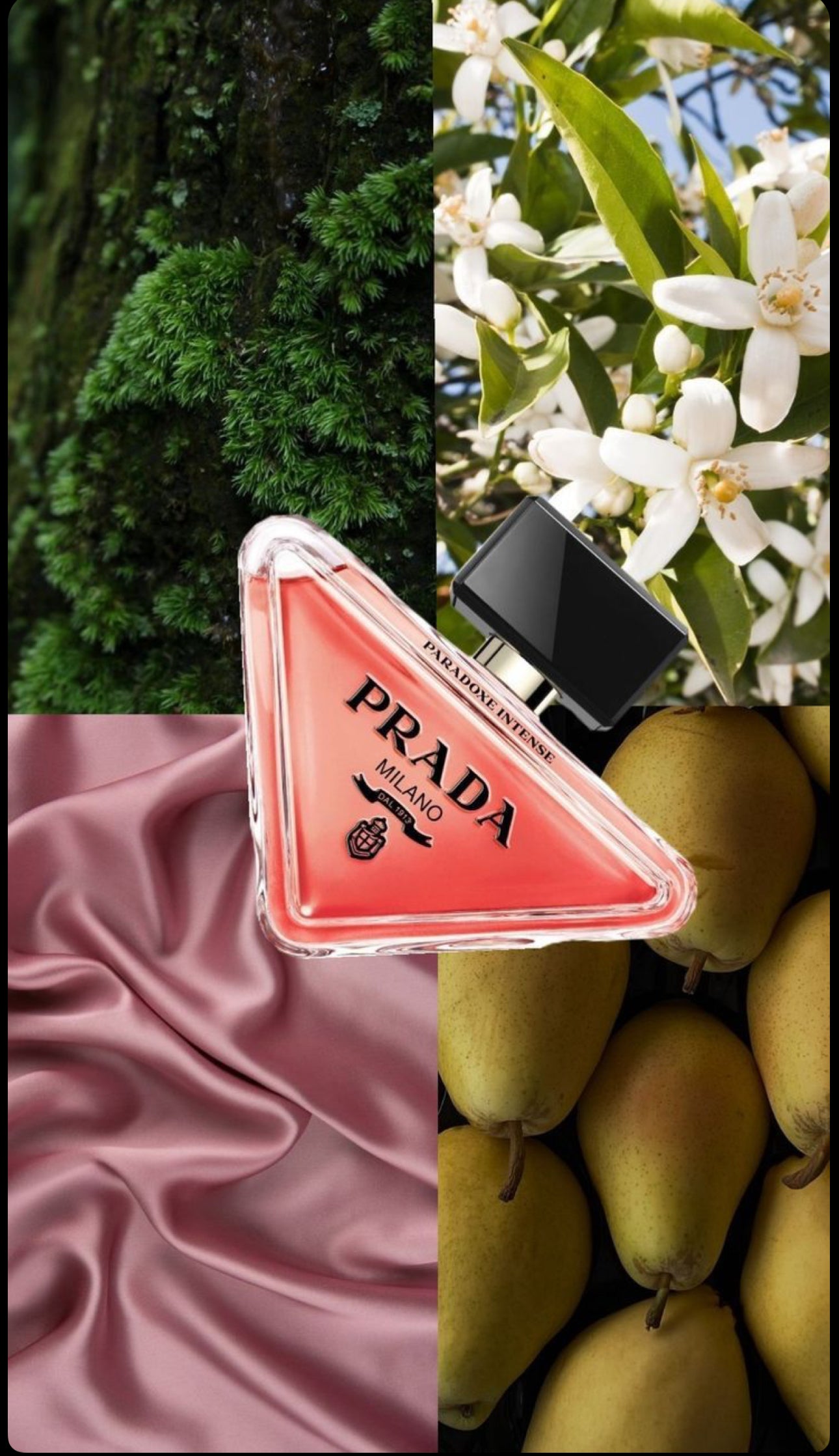 Paradoxe Intense Prada For Women