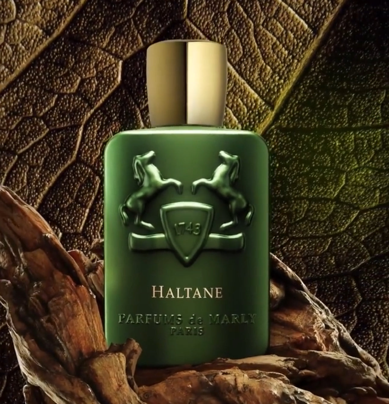 Haltane De Marly